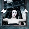 IMG_2900 IMG_2900