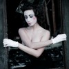IMG_2977 IMG_2977