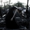 IMG_3064 IMG_3064