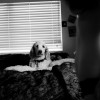 IMG_3150
