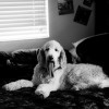 IMG_3164