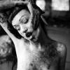 IMG_3666