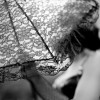 IMG_4647 IMG_4647