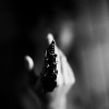 IMG_6247 IMG_6247