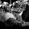 img_7337 img_7337