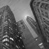 img_8584 img_8584