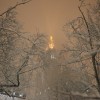 img_8637 img_8637