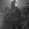 img_8641 img_8641